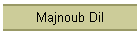 Majnoub Dil